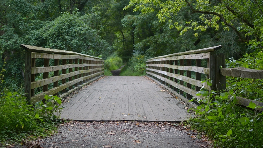 A bridge along the waterfront trail is something you'll often see living in Mimico.
